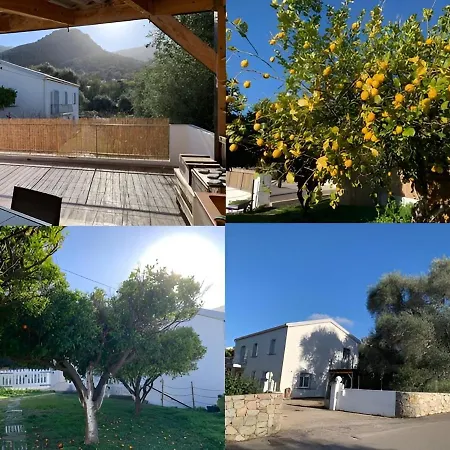 Rez De A Semesterbostad *